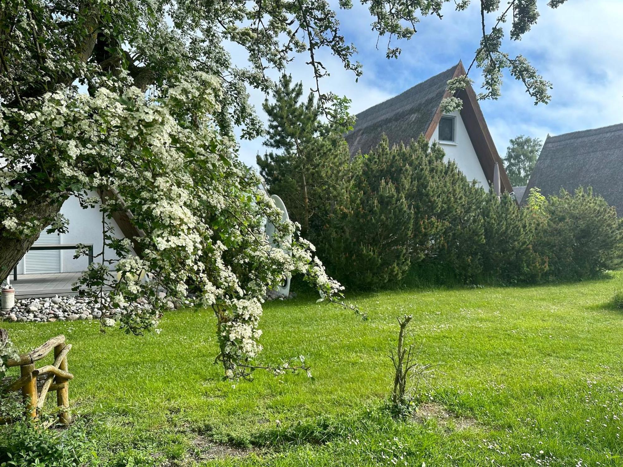 Finnhuette Nr.42 Auf Moenchgut Gager Eksteriør billede